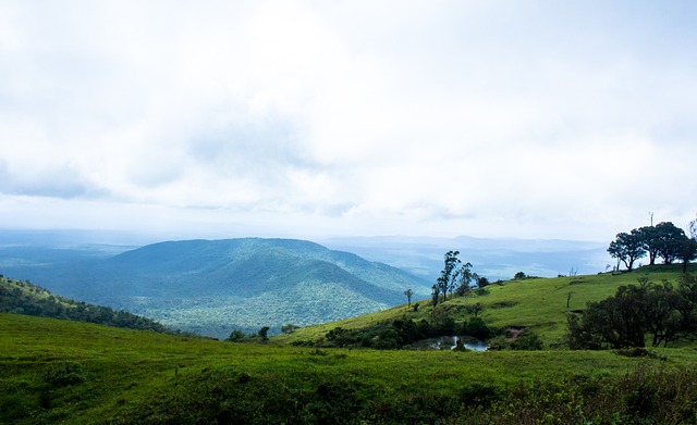 当被重视 当被重视