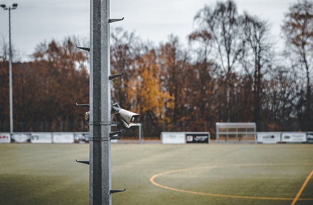 苹果公司的 苹果公司的