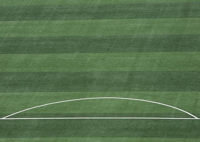 或许正在张 或许正在张