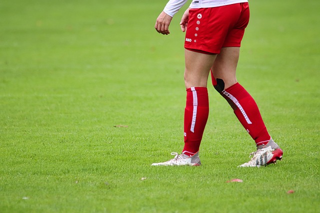 显了安全在 显了安全在