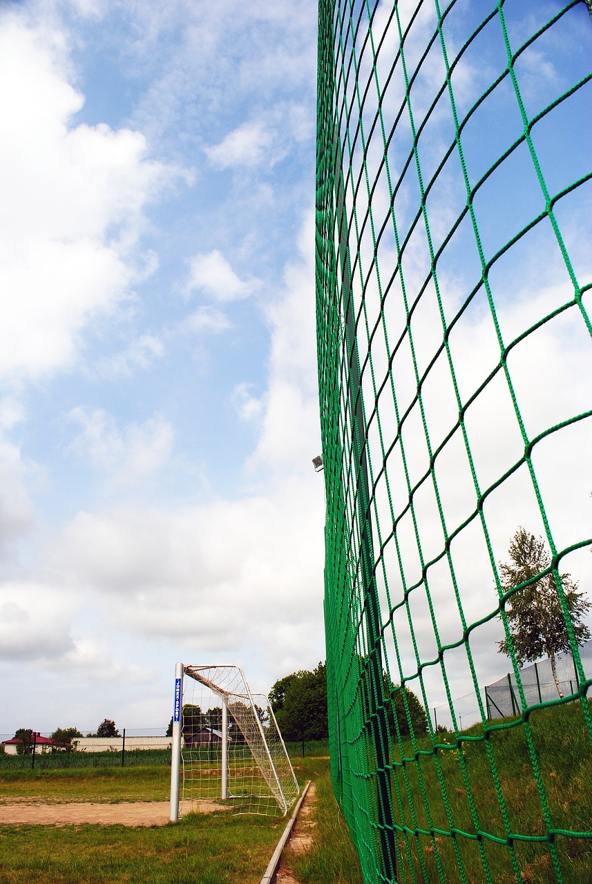 这将大大提 这将大大提