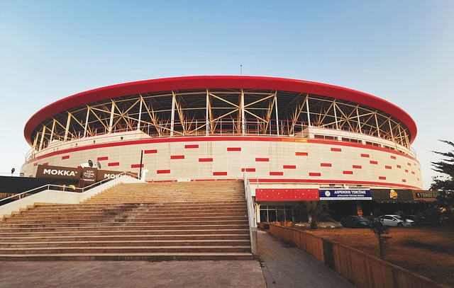 现自己的才 现自己的才