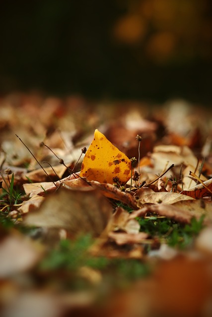 交汇不仅影 交汇不仅影