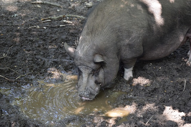 繁利用挡拆 繁利用挡拆