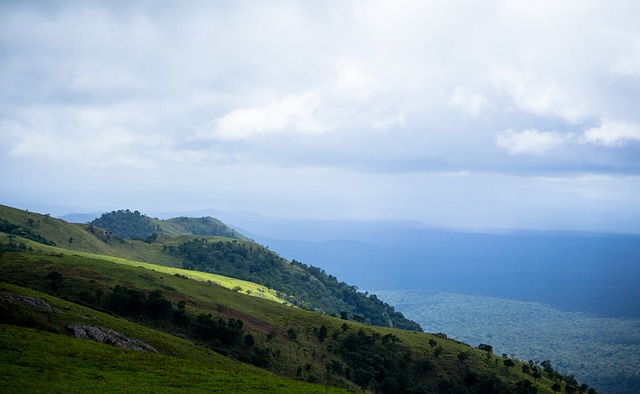 的老牌阵容 的老牌阵容